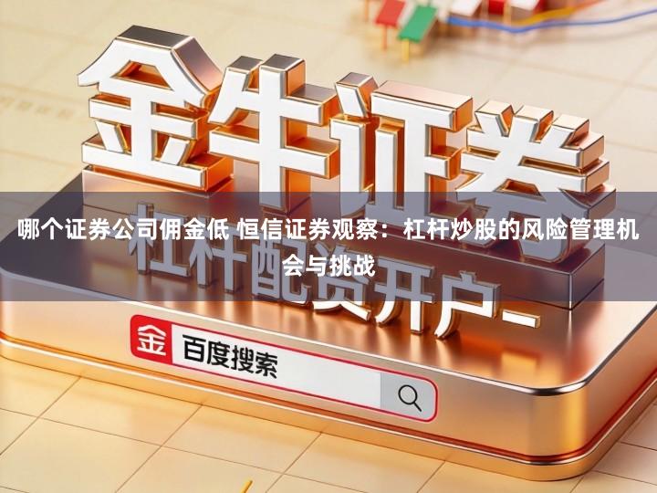 哪个证券公司佣金低 恒信证券观察：杠杆炒股的风险管理机会与挑战